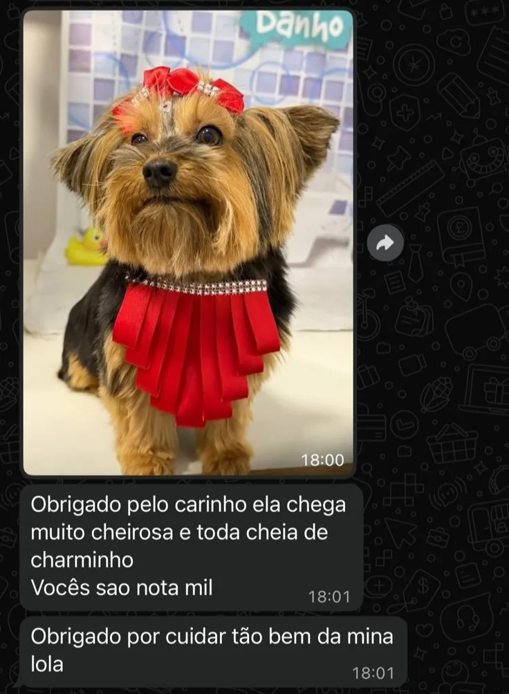 Depoimento de cliente pelo WhatsApp
